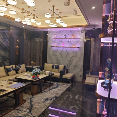 郑州夜总会职业大揭秘,夜店岗位全解析